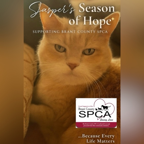 Stylish Purple Shoulder Bag - Picture 6 of 7